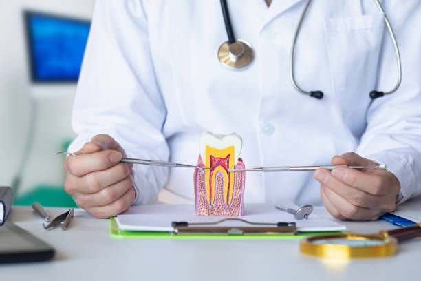 Best Emergency Dentist for Knocked-Out Tooth in , IL